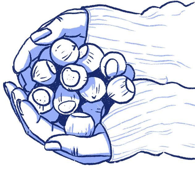 illustrations de 2 mains tenants des graines/noisettes